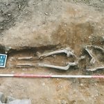 hea 5	Medieval Leper Hospital St. Lloy at Trentvale